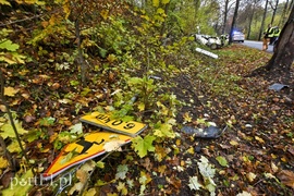 Audi uderzyło w drzewo