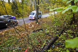Audi uderzyło w drzewo