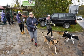 Biegiem na spacer!