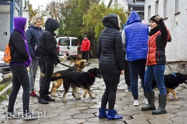 Biegiem na spacer!