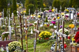 Tak było 1 listopada na elbląskich nekropoliach