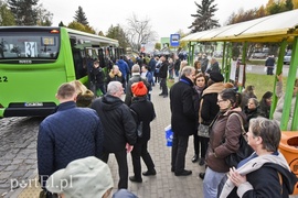 Tak było 1 listopada na elbląskich nekropoliach