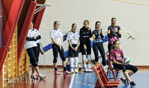 Zmarnowana szansa Truso