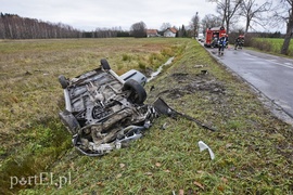 Dachowanie koło Próchnika
