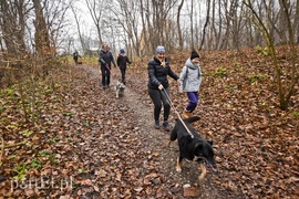 Pobiegli ponownie na sześć łap