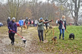 Pobiegli ponownie na sześć łap