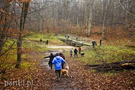 Pobiegli ponownie na sześć łap