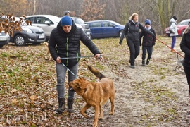 Pobiegli ponownie na sześć łap