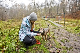 Pobiegli ponownie na sześć łap