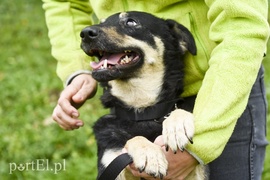 Galeria pod psem i kotem (Odc.30)