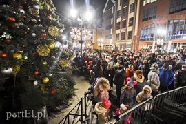 Choinka już zdobi Stare Miasto