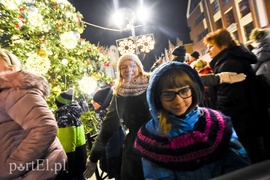 Choinka już zdobi Stare Miasto