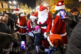 Choinka już zdobi Stare Miasto