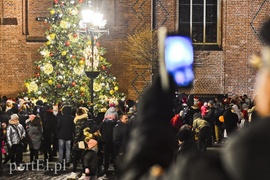 Choinka już zdobi Stare Miasto