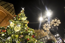 Choinka już zdobi Stare Miasto Choinka już zdobi Stare Miasto