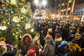 Choinka już zdobi Stare Miasto