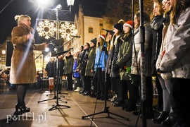 Choinka już zdobi Stare Miasto