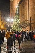 Choinka już zdobi Stare Miasto