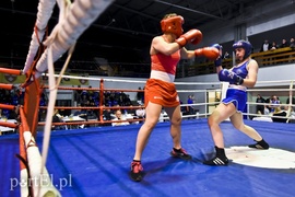 Tygrysy walczyły w ringu