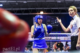 Tygrysy walczyły w ringu