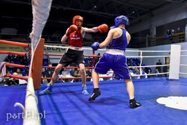 Tygrysy walczyły w ringu