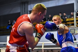 Tygrysy walczyły w ringu