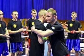 Tygrysy walczyły w ringu