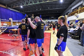 Tygrysy walczyły w ringu