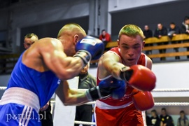 Tygrysy walczyły w ringu