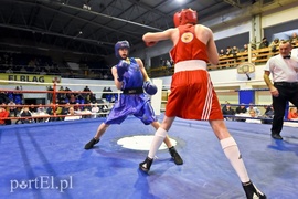 Tygrysy walczyły w ringu