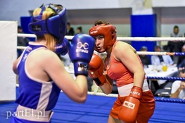 Tygrysy walczyły w ringu