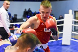 Tygrysy walczyły w ringu