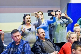 Tygrysy walczyły w ringu