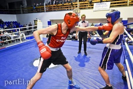 Tygrysy walczyły w ringu