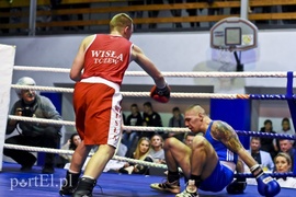 Tygrysy walczyły w ringu