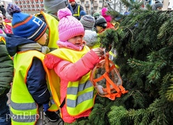 Tu ozdobą są ziarna i marchewki
