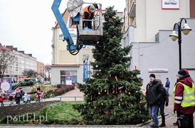 Tu ozdobą są ziarna i marchewki