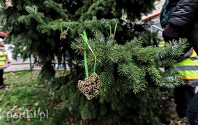 Tu ozdobą są ziarna i marchewki