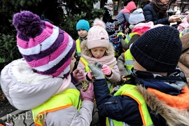 Tu ozdobą są ziarna i marchewki