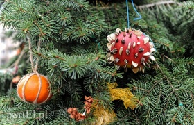 Tu ozdobą są ziarna i marchewki