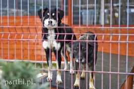 Płaczemy, ale robimy swoje