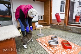 Płaczemy, ale robimy swoje