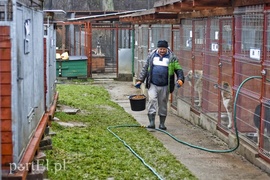 Płaczemy, ale robimy swoje