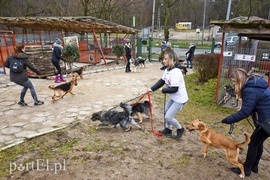 To nie jest typowy bieg