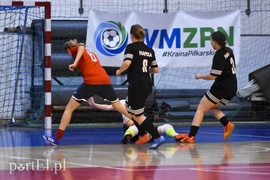 Lew wygrywa turniej Hanza Cup