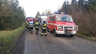 Uderzył w drzewo, nic mu się nie stało