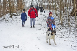 Zimowy spacer na sześć łap