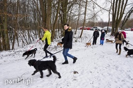 Zimowy spacer na sześć łap