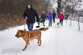 Zimowy spacer na sześć łap