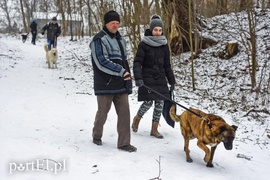 Zimowy spacer na sześć łap